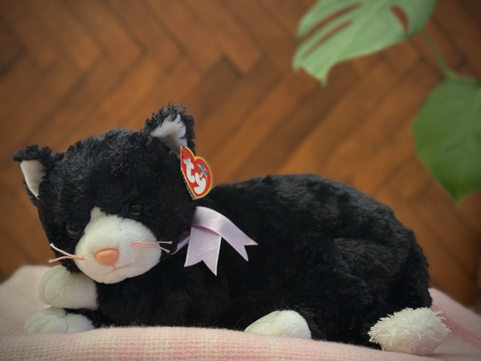 ‍⬛ Botines El Gato Negro ‍⬛ | Ty Beanie Buddy