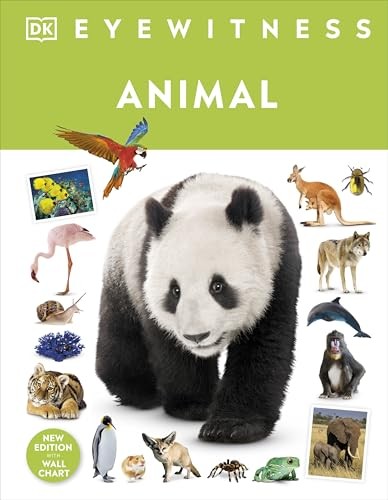 Animal by DK (Hardback Book) - Image 6