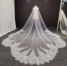 Delicate Floral Embroidered Lace Veil with Comb Cathedral Length Wedding Bride