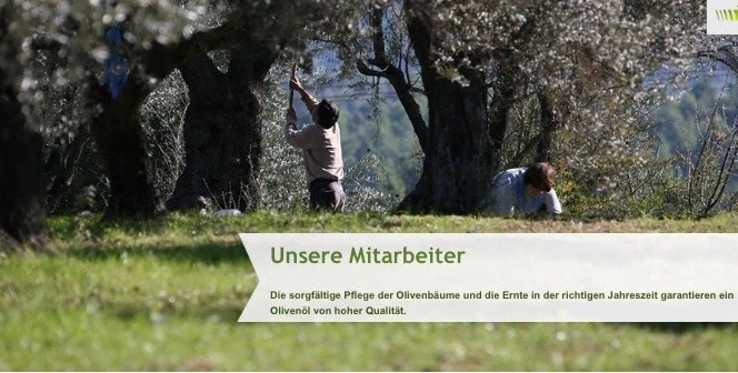 Bild 10 von 12