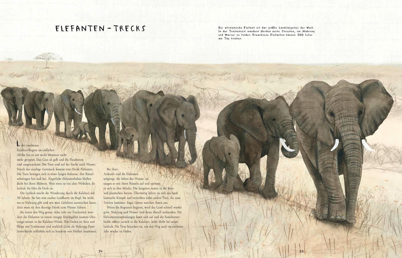 Thumbnail - Wanderungen | Mike Unwin | Buch | 48 S. | Deutsch | 2018 | Fischer