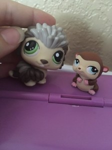 littlest pet shop porcupine