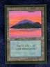 ISLAND (C)  1993 COLLECTOR'S EDITION  Magic the Gathering Unplayed   NM
