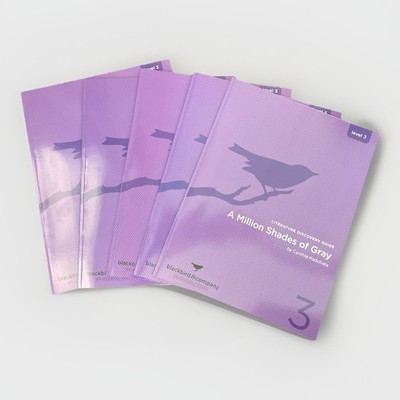 Level Three Blackbird Learning Co. Literature Discovery Guides (5)