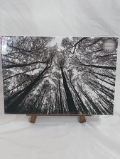 Bgraamiens Puzzle - Braingames - Forest in Black  White 1000 Pieces NIB