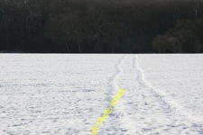 Photo A2 Snow tracks, Great Eversden 9.1.10 Old Wimpole The coldest few  c2010