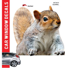 Car Window Decal - 3D - Squirrel 
