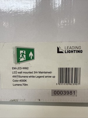Notbeleuchtung weiß gewartet LED Ausgangskasten 4W EM-LED-WM2