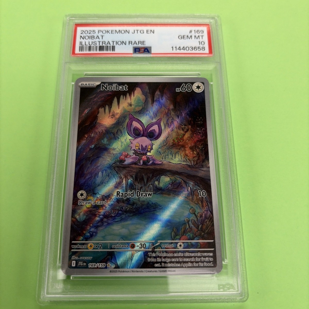 Pokemon 2025 Noibat 169/159 Illustration Rare Full Art Journey Together PSA  10 | eBay