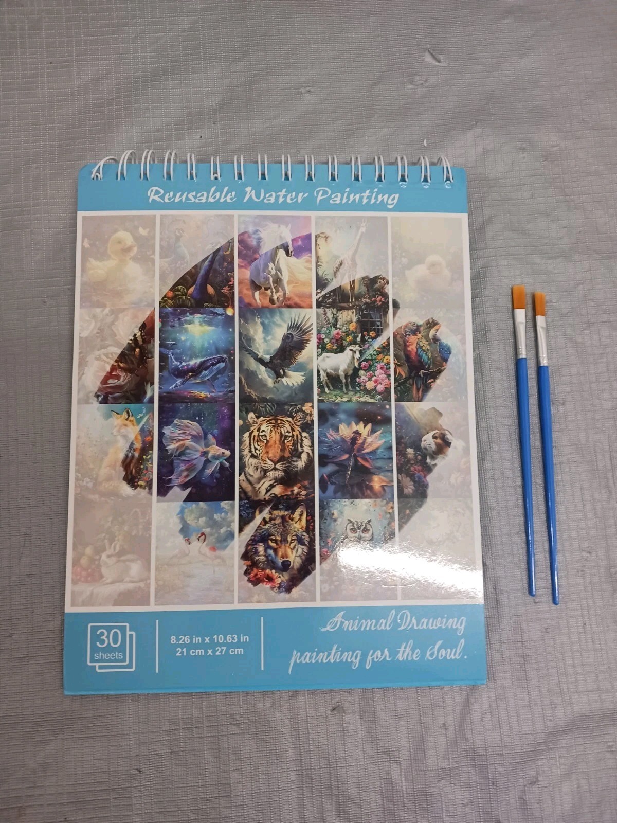 Dementia activities senior adult no mess water paint set 11" X 9". With Brushes