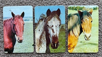 Original swap playing card blank back 70 s horses Valentine