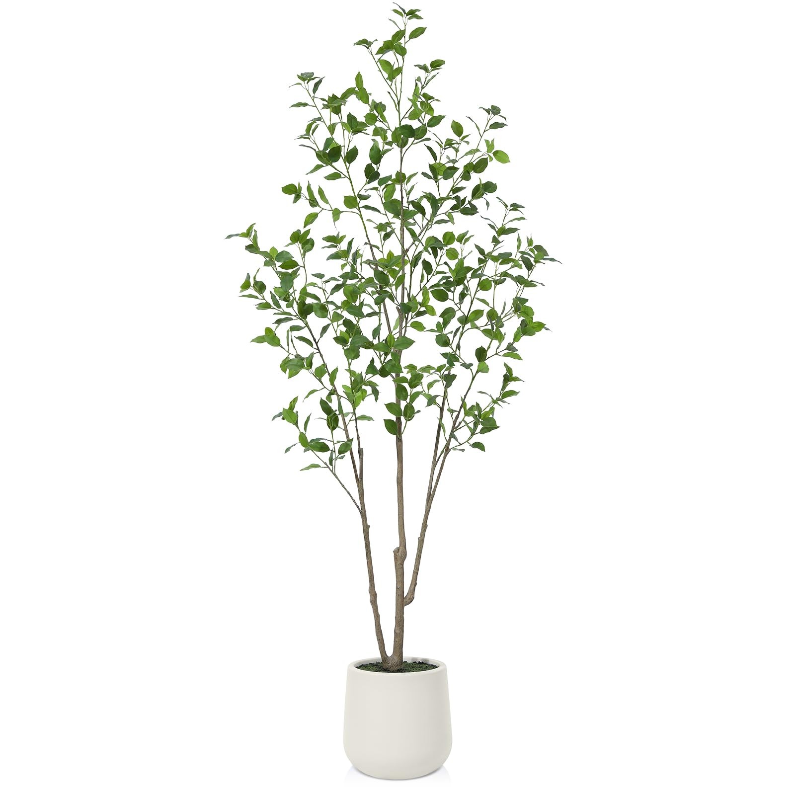 6ft Artificial Ficus Tree in White Planter for Home Decor