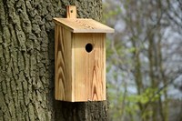 Nistkasten Geflammt Flachdach Vogelhaus Holz Meisenkasten NisthöHle WildvöGel