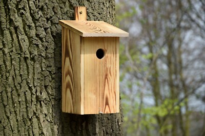 Nistkasten geflammt Flachdach Vogelhaus Holz Meisenkasten Nisthöhle Wildvögel