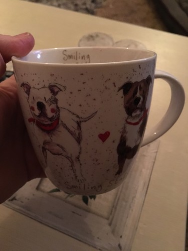 Alex Clark Squash Mug Delight Dog Staffie 390ml Op Stk 6 Multi For Sale alex-clark-squash-mug-delight-dog-staffie-390ml-op-stk-6-multi-for-sale