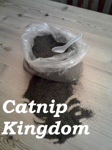 CATNIP - Premium Canadian- Rough cut leaf and bud- you won't buy stronger !!!