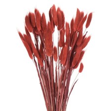 60 St&uuml;ck nat&uuml;rliche Hasenschw&auml;nze,getrocknete Blumen,43cm,Mini-Gras,rot