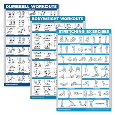 3 Pack - Dumbbell Workouts Bodyweight Exercises Stretching Routine Poster