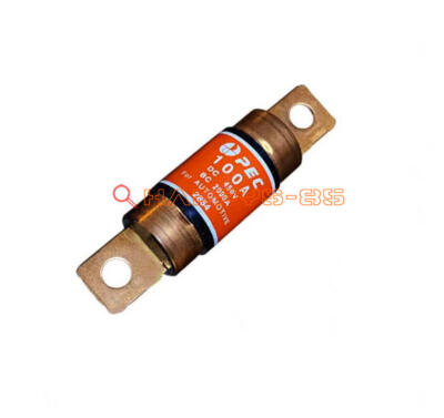 Neu 1PC PEC 100A Neu Energie Hoch Spannung Automotive Sicherung DC450V BC2000A