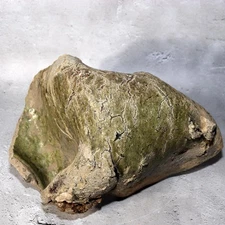 Japanese Antique Yama Chawan Fragment Pottery Wabi Sabi Style PCP270 -1