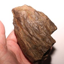 LARGE Triceratops Horn Chunk Fossil NICE DETAILS CRETACEOUS Hell Creek Formation