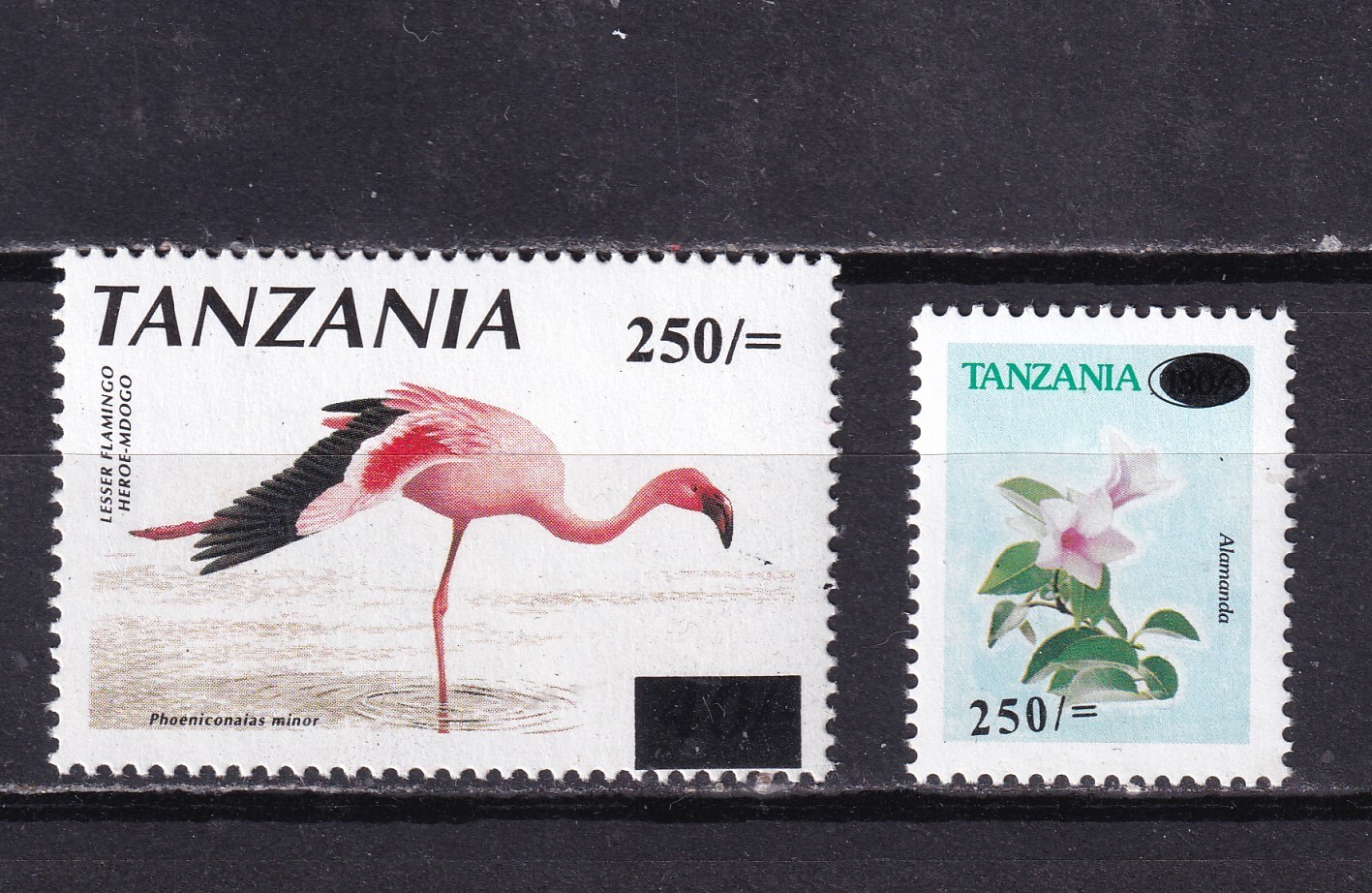 Tanzania - 2003 - Flamenco y Flores - Serie- MNH