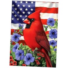 Independence Day Diamond Art Kits for Adults Beginner, 4th of July US Cardinal