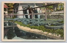 Postcard Hot Springs, Arkansas, Alligator Farm A10173