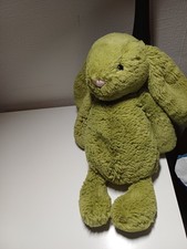 Bashful Moss Bunny - Tiny Jellycat | Jelly Journal