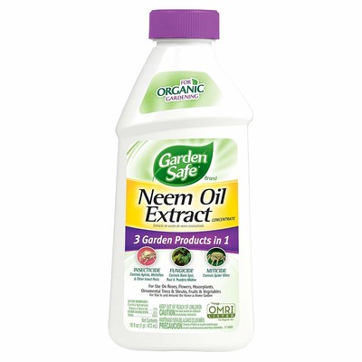 Best of Vegetable oil masturbation safe masturbation safe oil Vegetable