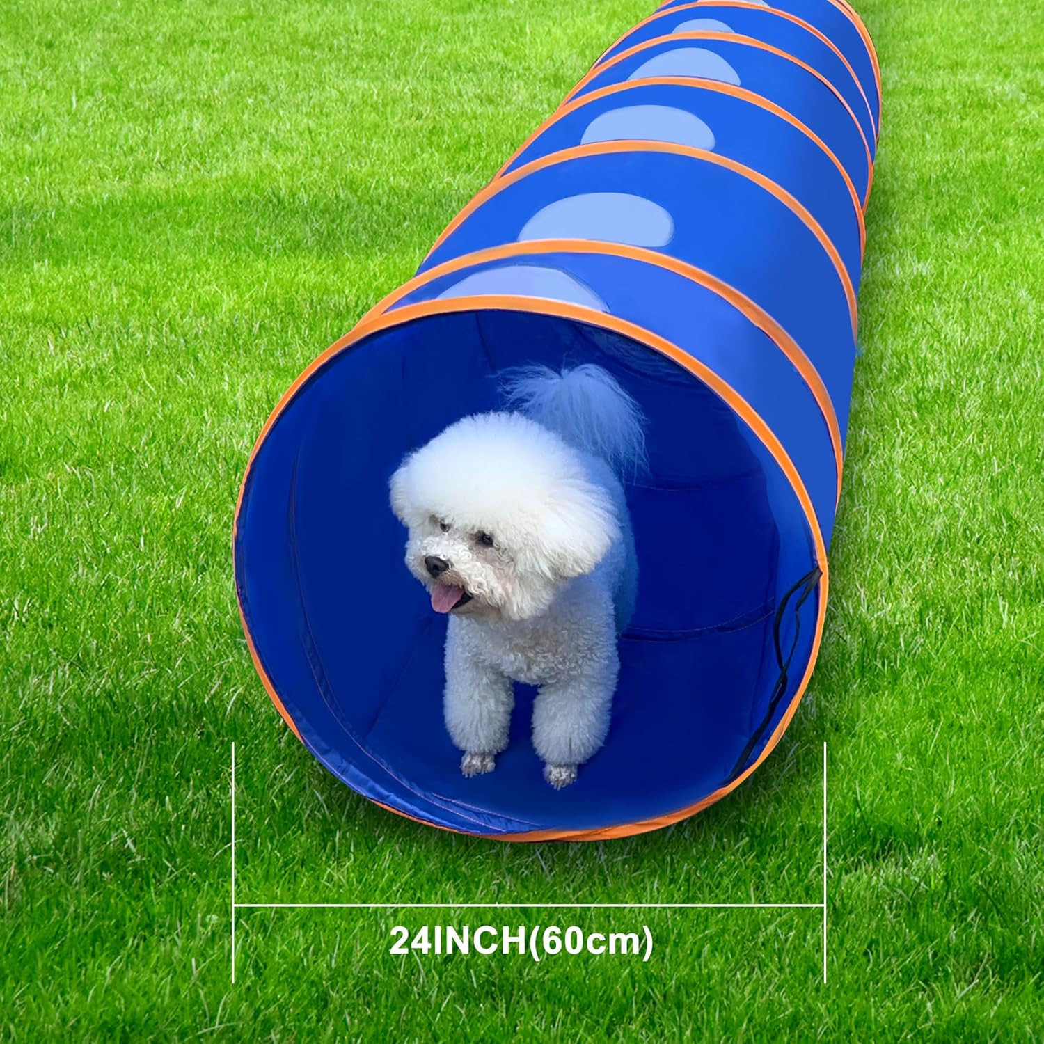Dog Agility Tunnel with Ventilated Mesh, Dog Agility Equipment, Dog Agility Trai