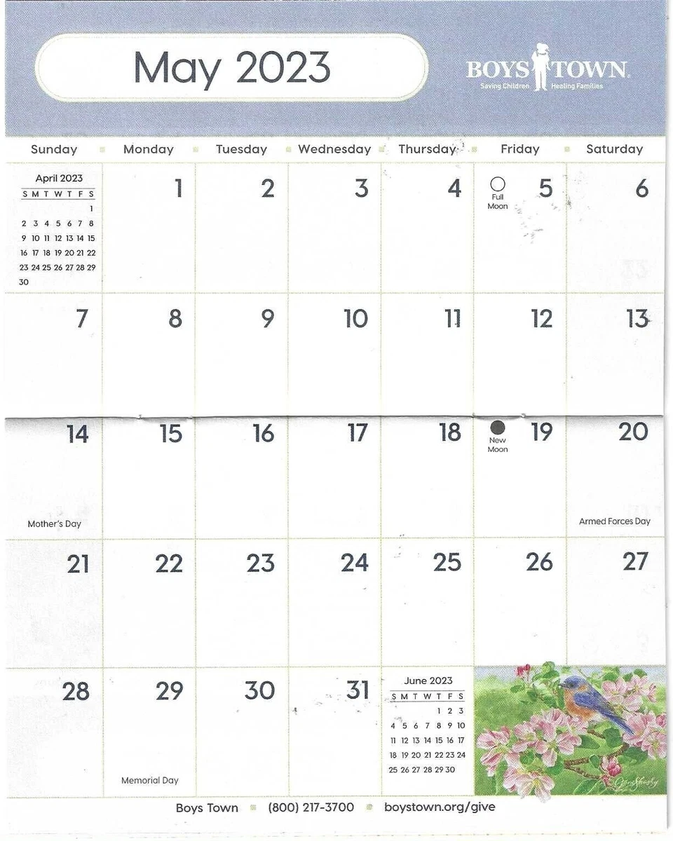 Boys Town Subtle Shades of Nature 2023 Pocket Planner Calendar Tip Chart  Holiday | eBay