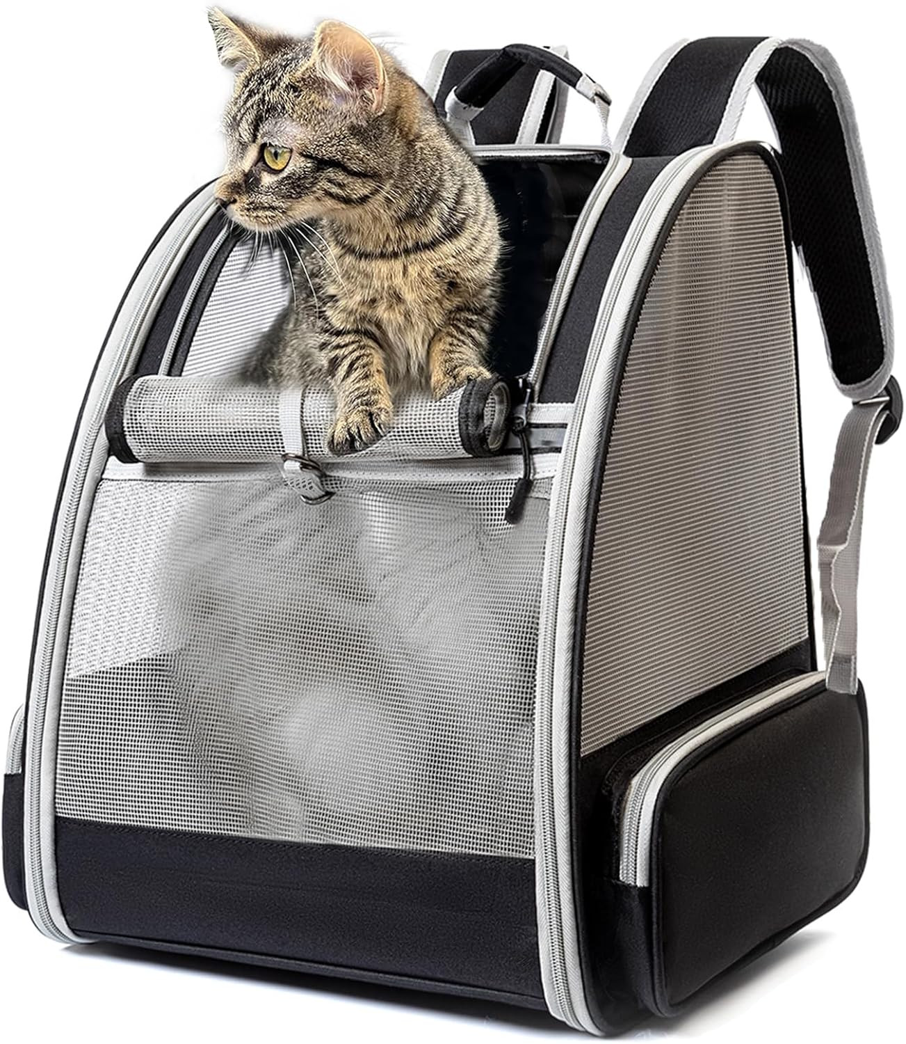 Zaino Trasportino Gatto Cane Offerta | Il Miglior Rapporto Qualità/Prezzo