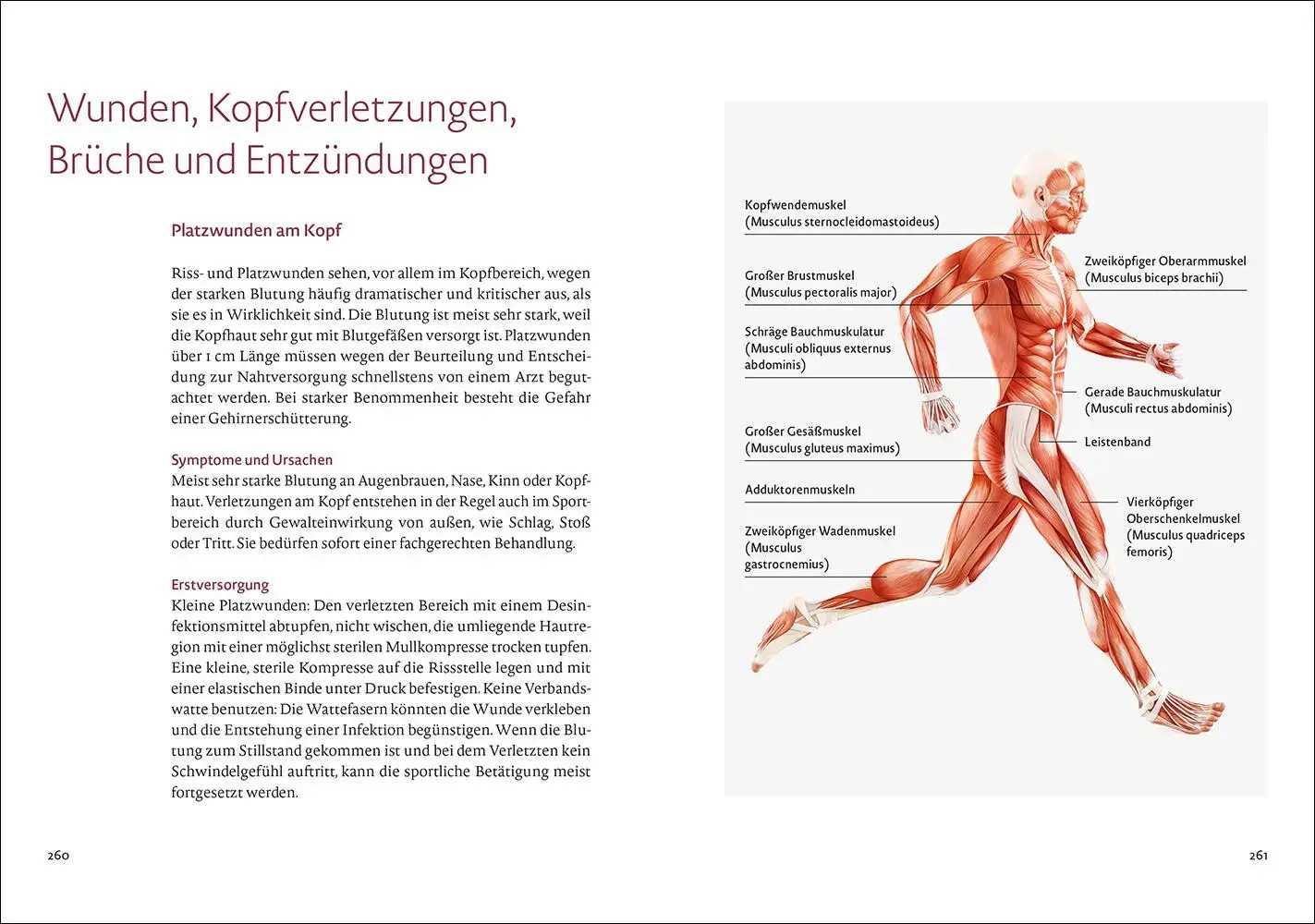 Bild 3 von 10