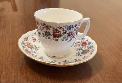 Vintage Staffordshire Tea Cup and Saucer  Springtime  Fine English Bone China