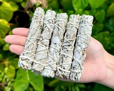 White Sage Smudge Sticks Thin : 5 Pack Lot Handy Travel Size Stick 