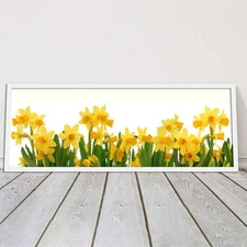 daffodils canvas picture print framed ready to hand choice of colours and sizes