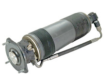 Mercedes-Benz R231 SL Stoßdämpfer Federbein Hinten Links A2313201313