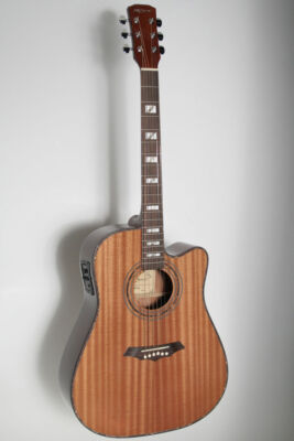 Terra-l-ENA, 41` Westerngit.,  cut, EQ-Fishman, MH-Wilkinson, MH-Wilkinson, Deck
