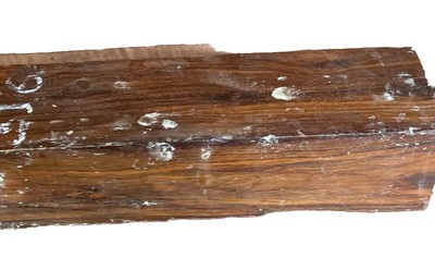 Bois Lignum Vitae Guaiacum Officinale – Bloc Fissuré 1,5 X 18, Pièces Barrage Hydroélectrique