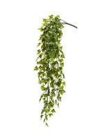 Artplants KüNstlicher Busch EfeuhäNger Zase Auf Steckstab, GrüN, 75Cm