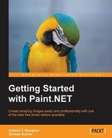 Andros Sturgeon | Getting Started With [.] | Taschenbuch | Englisch (2013)