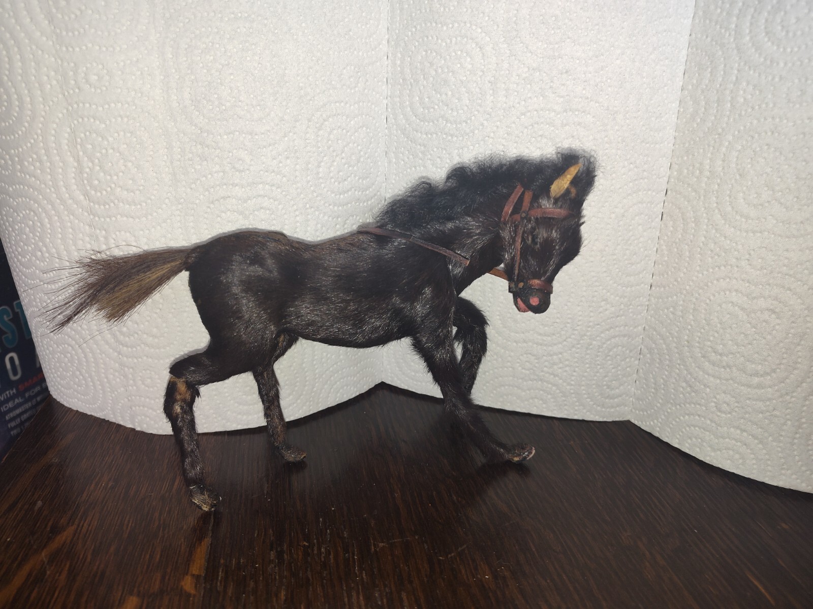 Small Antique Victorian Mohair Covered Horse Taxidermy