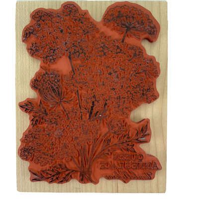 PSX Queen Anne's Lace Botanical Floral Rubber Stamp K-2048 Vintage