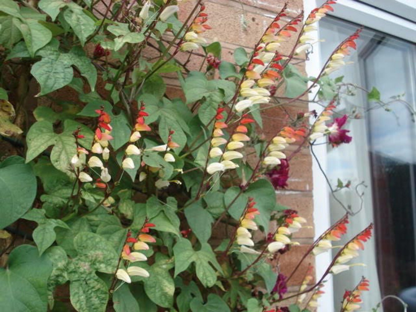 Bild 8 von 10