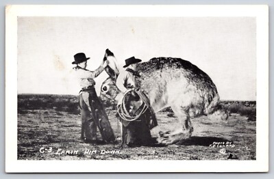 1930s Cowboys Exaggeration Conard Rabbit Earin Him Down RPPC Real photo postcard