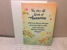 BLUE MOUNTAIN ARTS SOMEONE SPECIAL GREETING CARD New w/Envelope "AWESOME...."