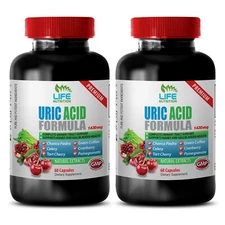 natural gout treatment - Uric Acid Formula 1430mg - boost immune system 2B