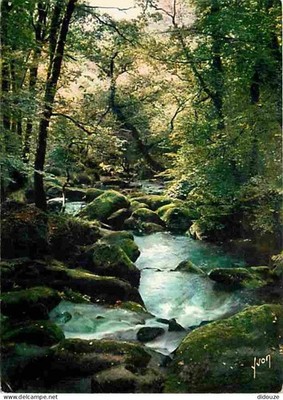 Postcard - 29 - Huelgoat - The Forest - The Silver River - See Straight Scans