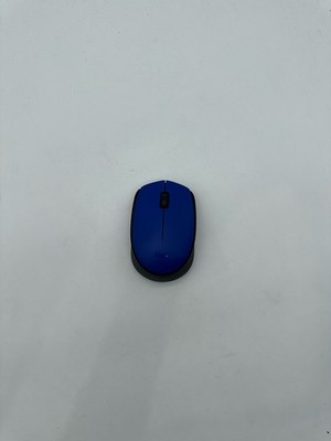 Logitech M170 Wireless Mouse 2.4 GHz USB Mini Receiver Optical Tracking Blue